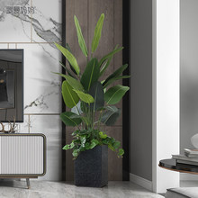 ����ֲ���ȿ������쾰��ظ����҃��̈����晻���b��^