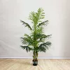 1.6 meters, 15 leaves, 3 shot bamboo sunflowers