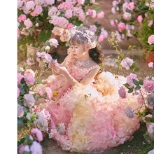 Ψ���ɚ����w���乫��ȹ2026�����¿�����r�г����ع���ͯ�Y��