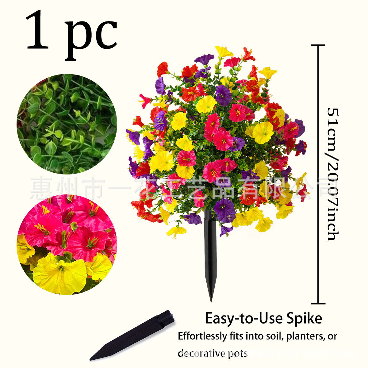 나팔꽃 지면 삽입 - 혼합 색상