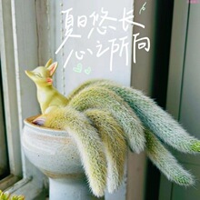 �Lë��β������ֲ���������β���k���Ҕ[����β���̨����ͥ�W��