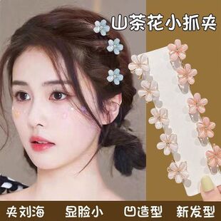 ���乫�����������l�A���������߅�l���A�ӊA��l�l�С̖�^�