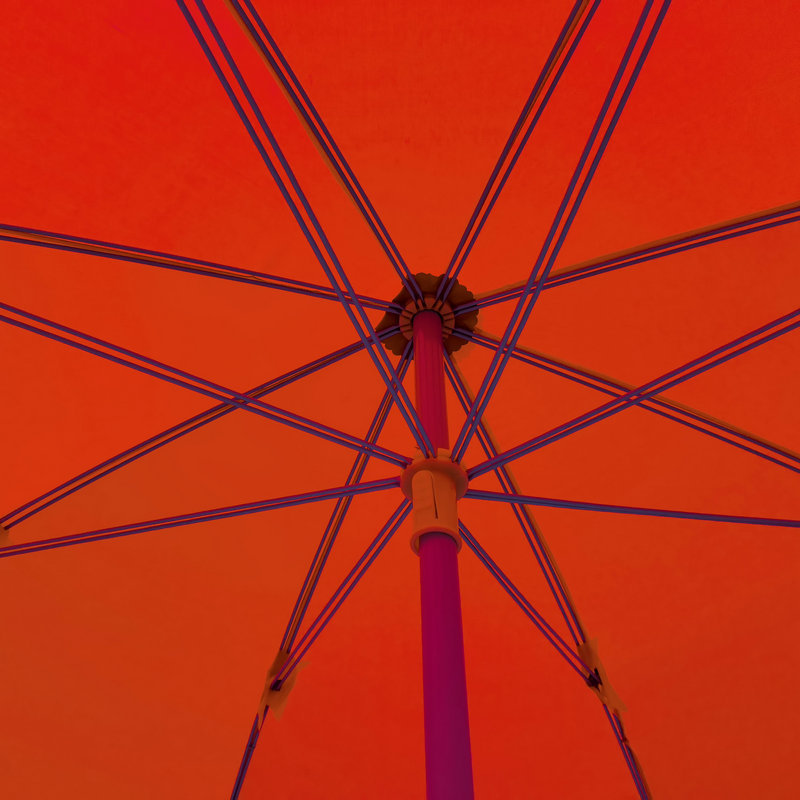 15939440179_1282545495