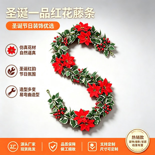 �羳�}�Q����һƷ�t�ٗl ��߅����t���ڠt�T��ڗU�����b�����