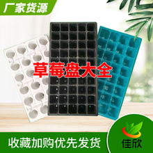 ��ɫ�{ɫ��ɫ24�׵ι�����ݮ�Ӻ�����P����P50���������Ѩ�P