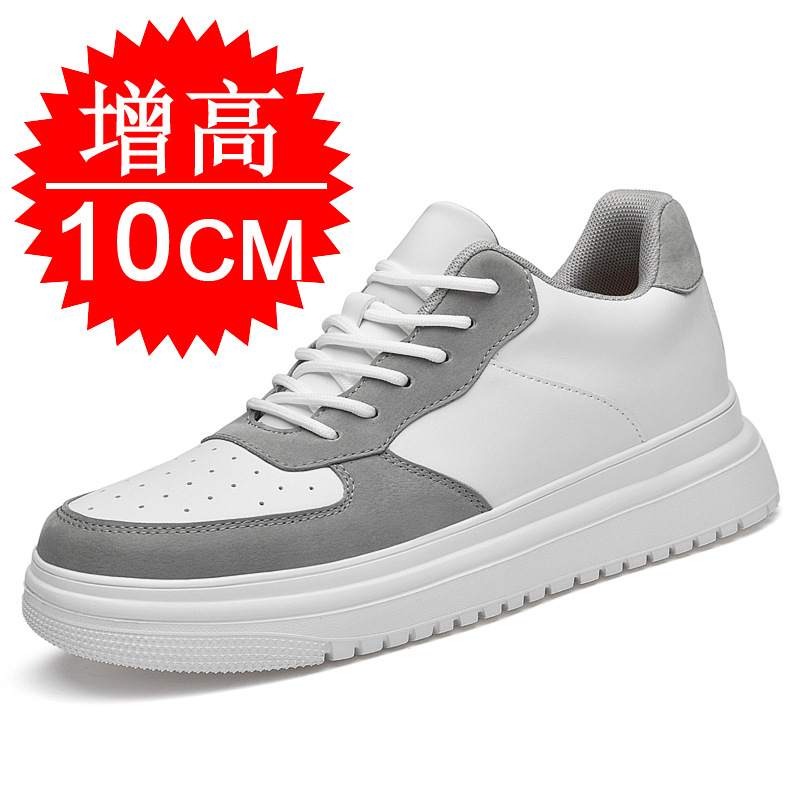화이트 애쉬 10CM 증가
