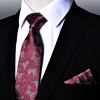 Tie, scarf, classic suit jacket, festive red set