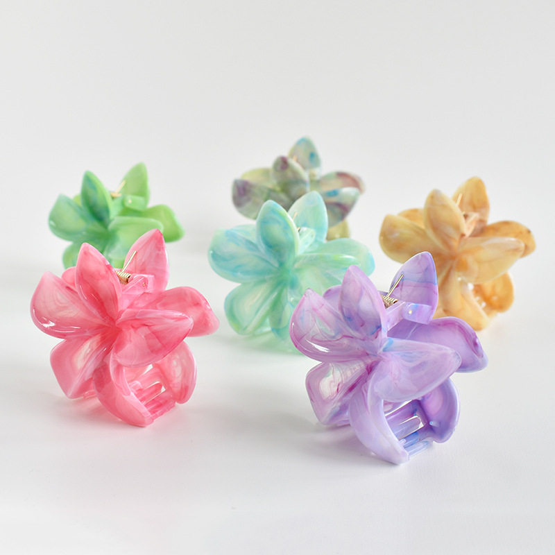 38g Weight Hair Claws Hair Accessories Type 1 Piece Quantity Casual Occasion Plastic, Resin Material Plumeria Pattern Women's Gender Simple Style Style Simple Style Women's Plumeria Plastic Resin Hair Claws 6