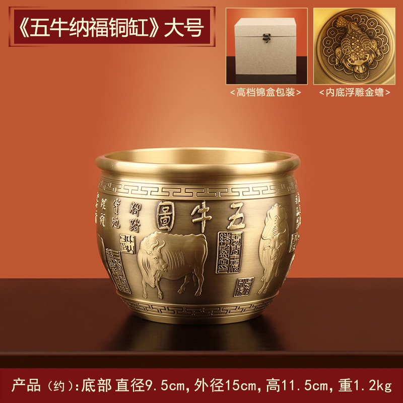 "Five Niu Nafu" 대형