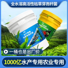 枯草芽孢杆菌全水溶水产养殖原菌种源头厂家25kg农用生根菌1000亿