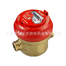 HYDRUSˮ��HYDRUS 1.3