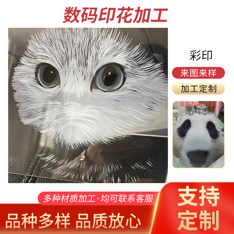 立体彩印服装炫彩卡通图案服装烫画耐水洗印花皮革数码喷绘面料