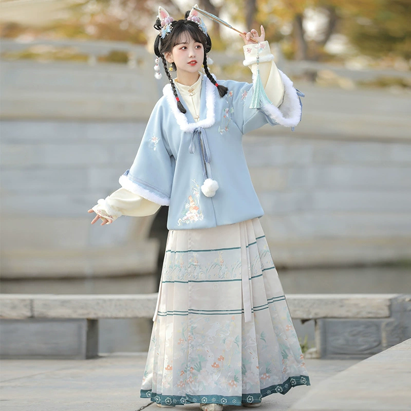 Ханьфу для женщин, в стиле Мин, с юбкой, имитирующей лицо лошади, воротником-стойкой, рукавами-пипа, оригинальной вышивкой, подходит для повседневной носки, осенью и зимой, в этническом стиле.
