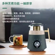 膳魔师 EHA-1352A-G 多功能养生杯花茶果茶养生壶电热水壶 0.6L