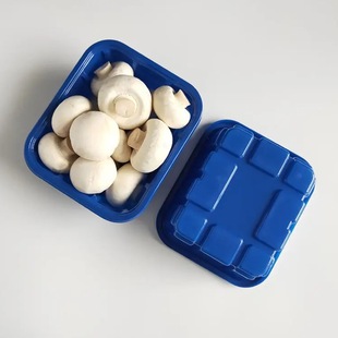 Fresh Mushroom Packaging Box Disposable Plastic Box Blue PP Fresh Mushroom Tray Da Lang Factory