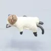 [Cat lying flat] Free traceless glue