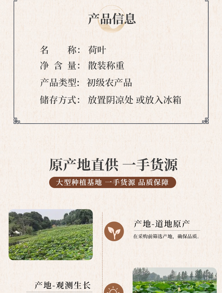 Dried Lotus Leaf He Ye 500g Natural Cut Herbal Tea Leaves for Brewing and Decoction quality and texture
