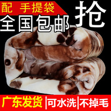 �R��V�|�l؛ �Ӻ����᠖ë̺�p�Ӷ�����˯̺�W�����ӼӺ�5��2026