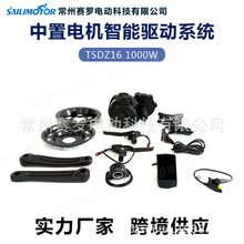 中置电机TSDZ16 1000W 新款 电动自行车套件山地车自行车仪表