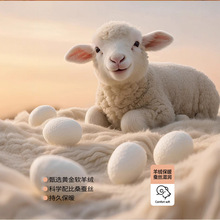 鲨鱼裤加绒外穿秋冬芭比裤批发加厚打底裤女冬季收腹提臀瑜伽裤