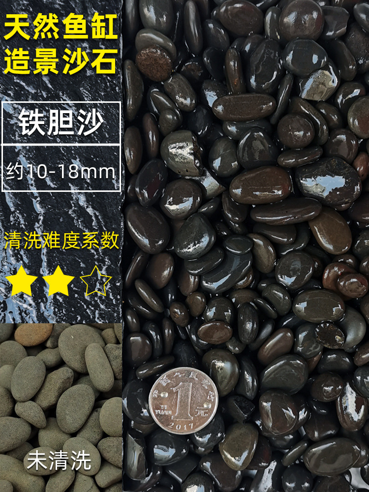 約10～18mmの大粒