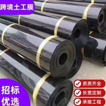 HDPE土工膜垃圾填埋场城建土工膜黑膜沼气池蓄水池养殖膜防渗膜