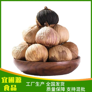 �S��ֱ�N���^���� ���l����ڴ������l���^����F؛��ʳ����