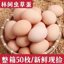 土鸡蛋现捡现发农家散养柴鸡蛋新鲜五谷鸡蛋新鲜整箱批发厂家批发