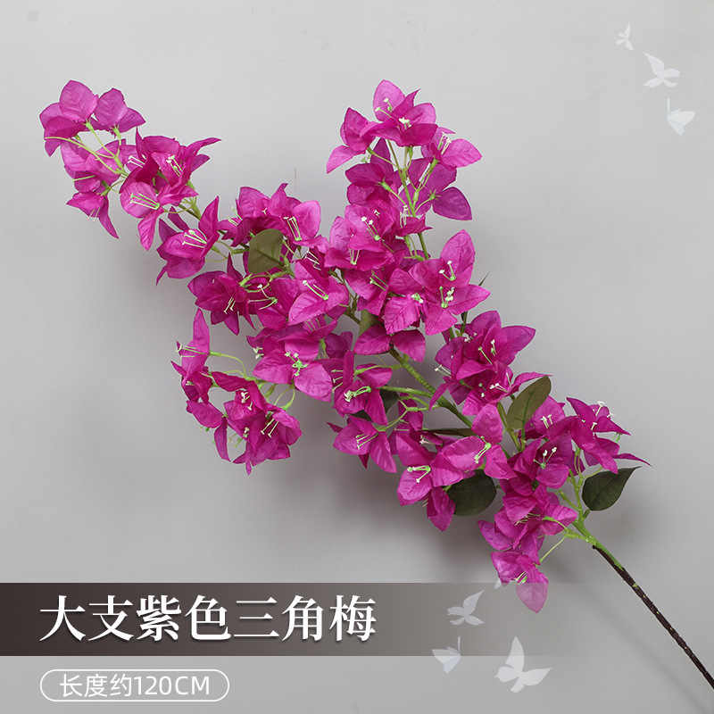 큰 부겐빌레아 - 보라색