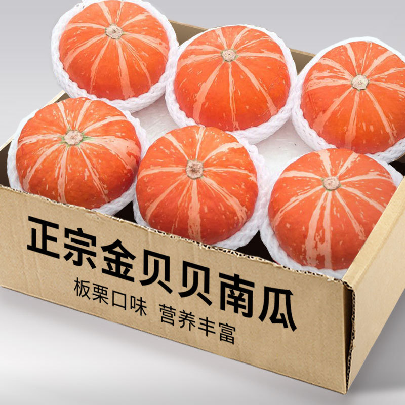 Fresh Golden Beibei Pumpkin, authentic chestnut flavor, freshly picked red-skinned pumpkin, mini, soft and sweet, baby food supplement Fresh Golden Beibei Pumpkin, authentic chestnut flavor, freshly picked red-skinned pumpkin, mini, soft and sweet, baby food supplement