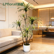 ���Q�羳���؛Դ��Ѫ���߅����Gֲ������Ը߶��p���҃��b�