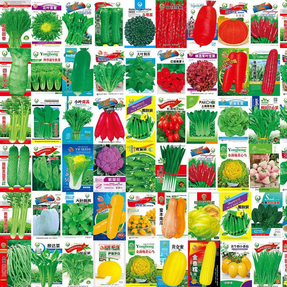 Семена овощей в горшках на все сезоны, двор на балконе, перец, дыни, огурцы, осенние простые семена, мелкие цыплята.