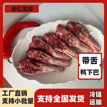 r°Ͳu؛}ʳ12كr°͌