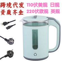 羳1.2LˮӢĿó220V/110Vˮ