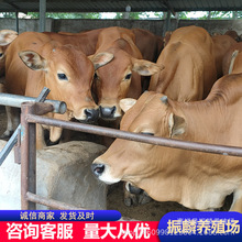 �����SţСţ�� ��ţ �Nţ 3�µ������SţҪ���L�r�g����