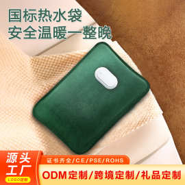 充电式防爆毛绒双插手电暖手宝办公室暖手暖腰热敷通用可爱热水袋