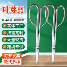 �~ѿ���廨���辰����ѿ��Ǥ����������3007�m������֦��֦�l