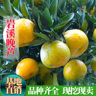 �ո����J�̽����� ��Ϫ���J�� ����ո����������Ե��Լ޽��J����