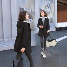 2024¿ӺӽqLLBñq朴a