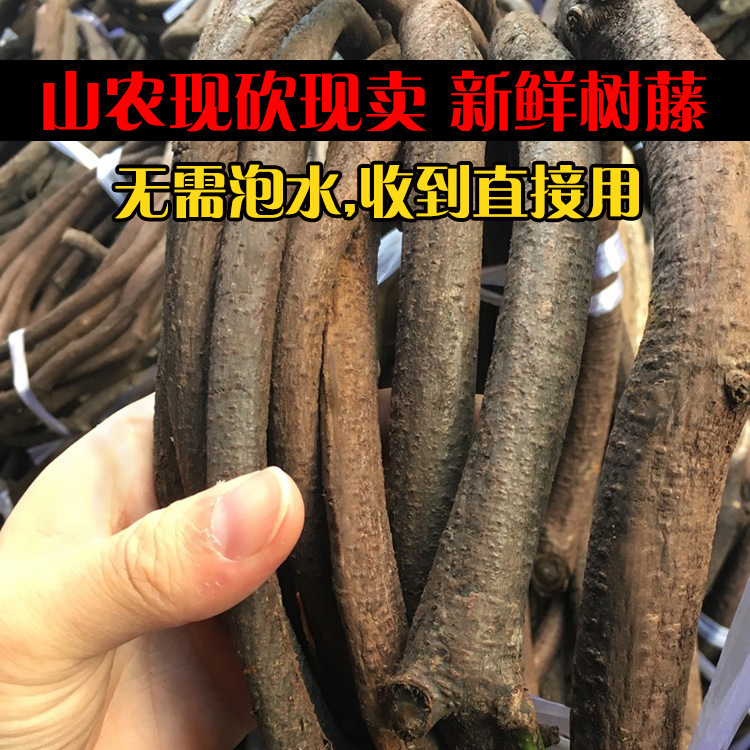 Old Tree Vines for Landscaping, Old Mountain Vines, Dead Tree Vines, Rural Landscape Decoration, Vine Wholesale Branches Old Tree Vines for Landscaping, Old Mountain Vines, Dead Tree Vines, Rural Landscape Decoration, Vine Wholesale Branches