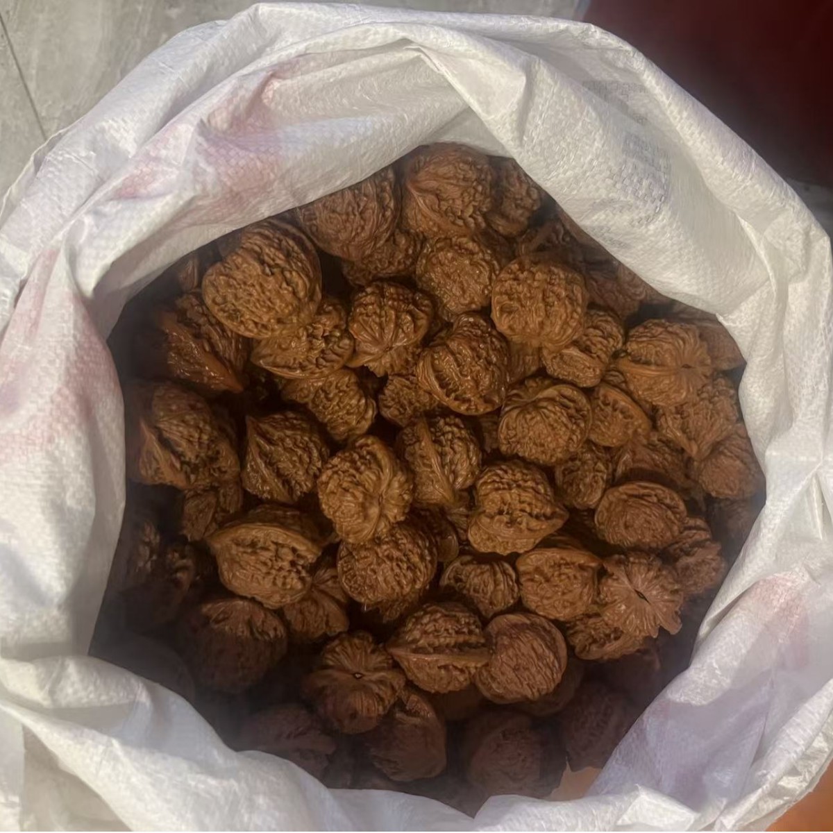 文玩核桃机刷高抛麒麟纹官帽散果尺寸齐全，产地直发一手货源，今