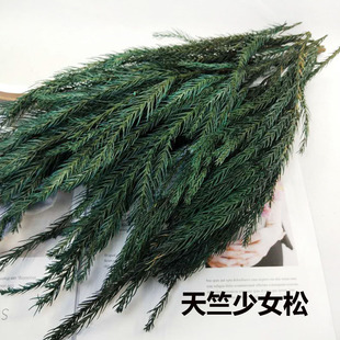 永生叶材保鲜叶材天竺少女松圣诞松树香薰蜡牌装饰干花花材松柏-阿里巴巴