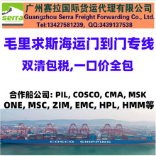 ë����˹���\�p��������� ë����˹���\�T���TDDP ë����˹����