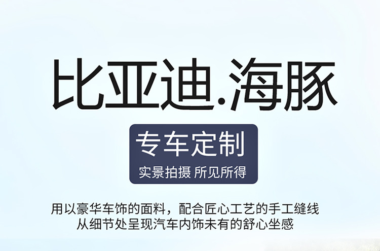 Ran is suitable for 25 BYD Dolphin Cushion Seat Cushion Seat Cushion Four Seasons Seat Cover Seat Cushion Seat Cushion