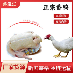 �r���Ϸ��� �l�����B�tĘ������ �����������r����F��������ֻ�l