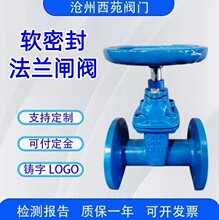 ����С�w�l�y ܛ�ܷⷨ�m�y�TZ45X ��ī�T�FС�ڏ��p��ˮ�����y