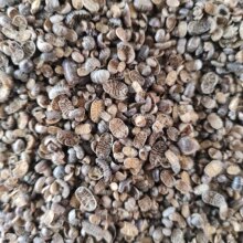 ���u��ƷҰ����D�x��ʭ�ŝ��x���x�F�������x��؛��ؓ�����؛