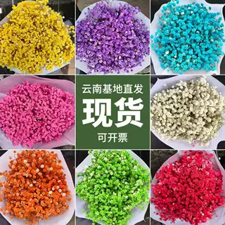 满天星花束干花永生花diy材料真花鲜花万圣节圣诞节装饰伴手礼