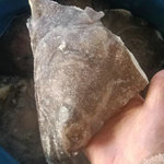 新鲜碟鱼头冷冻鲽鱼头深海新鲜比目鱼鸦片鱼商用批发高品质海鲜