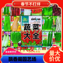 一件代发蔬菜种子四季播家庭阳台盆栽庭院易种植番茄黄瓜辣椒西瓜